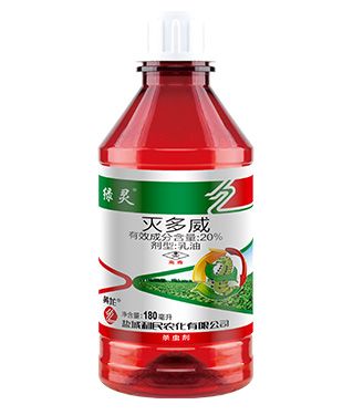 绿灵