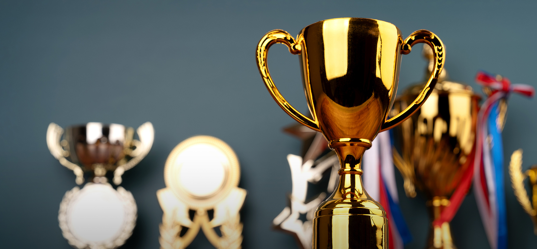 Recognized Excellence