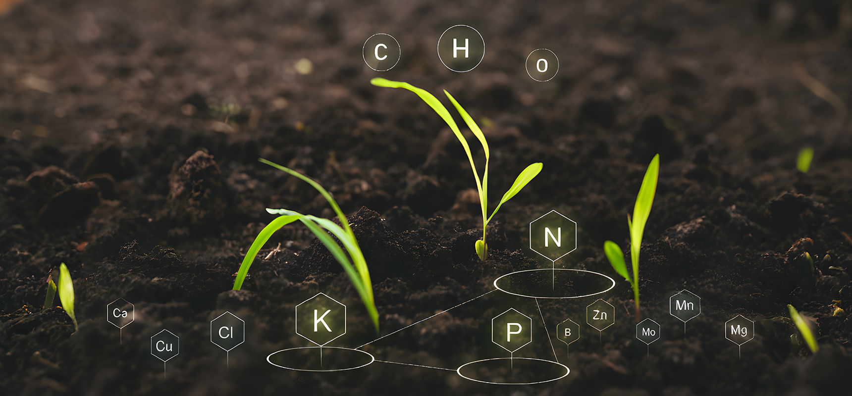 Flagship Product Leadership