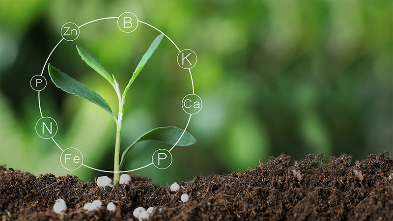 Yancheng Limin Chemical Co., Ltd.